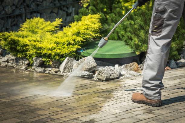 Best Soft Washing  in Bloomingdale, IL